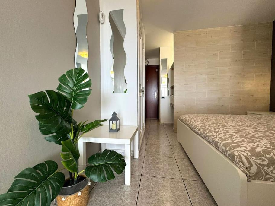Palm Garden Apartment Morro Jable  Exterior photo