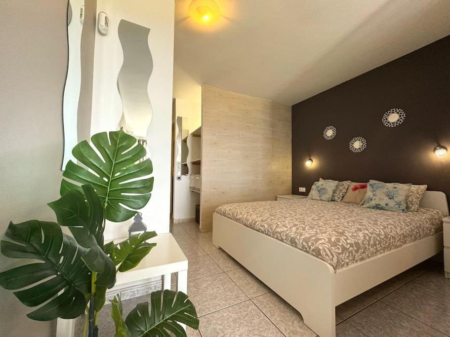 Palm Garden Apartment Morro Jable  Exterior photo
